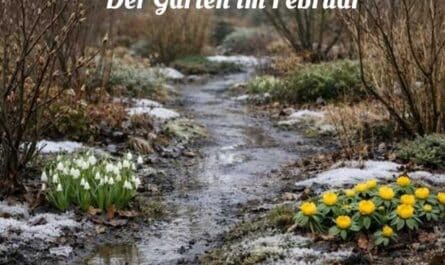 Der Garten im Februar