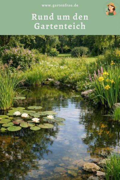 Rund um den Gartenteich
