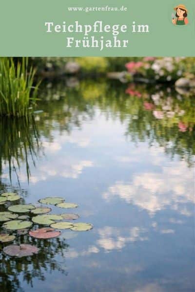 Teichpflege im Frühjahr