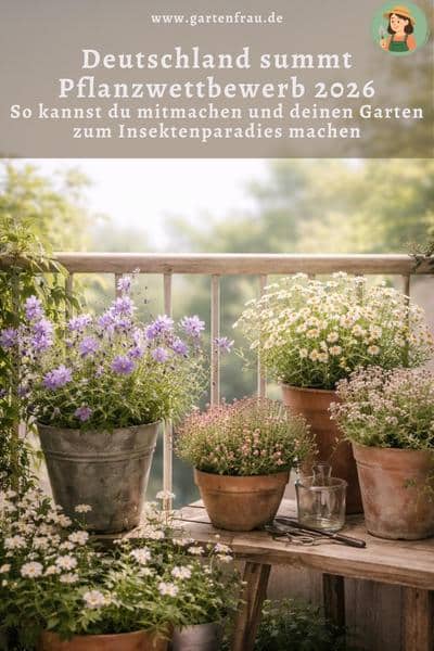 Deutschland summt Pflanzwettbewerb 2026: So kannst du mitmachen und deinen Garten zum Insektenparadies machen